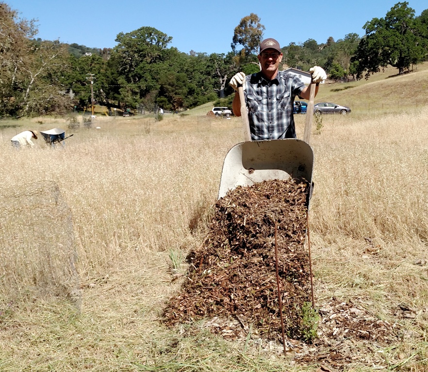 Craig dumping mulch near a young oak tree!